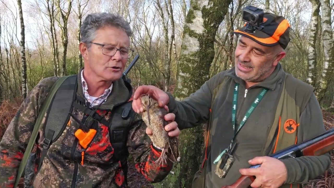 ---- IL PAESE  DEI  BALOCCHI ----  Caccia Beccacce in Scozia