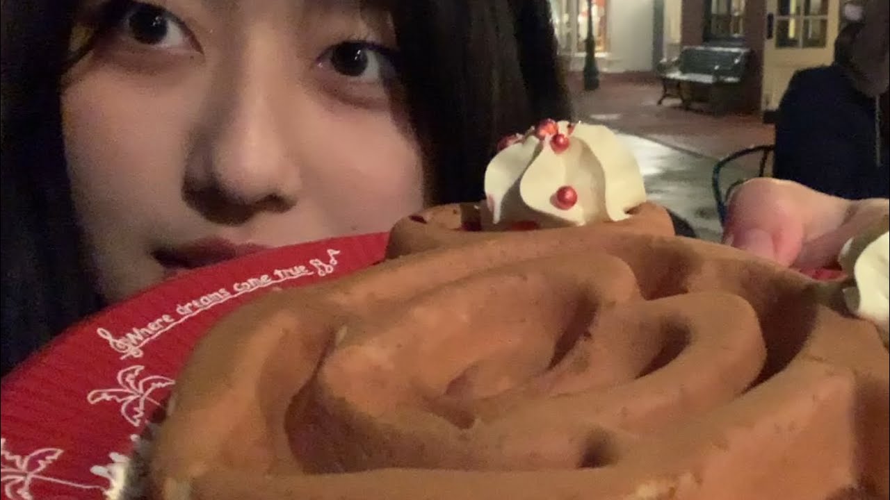 ディズニーランド行ってきた。