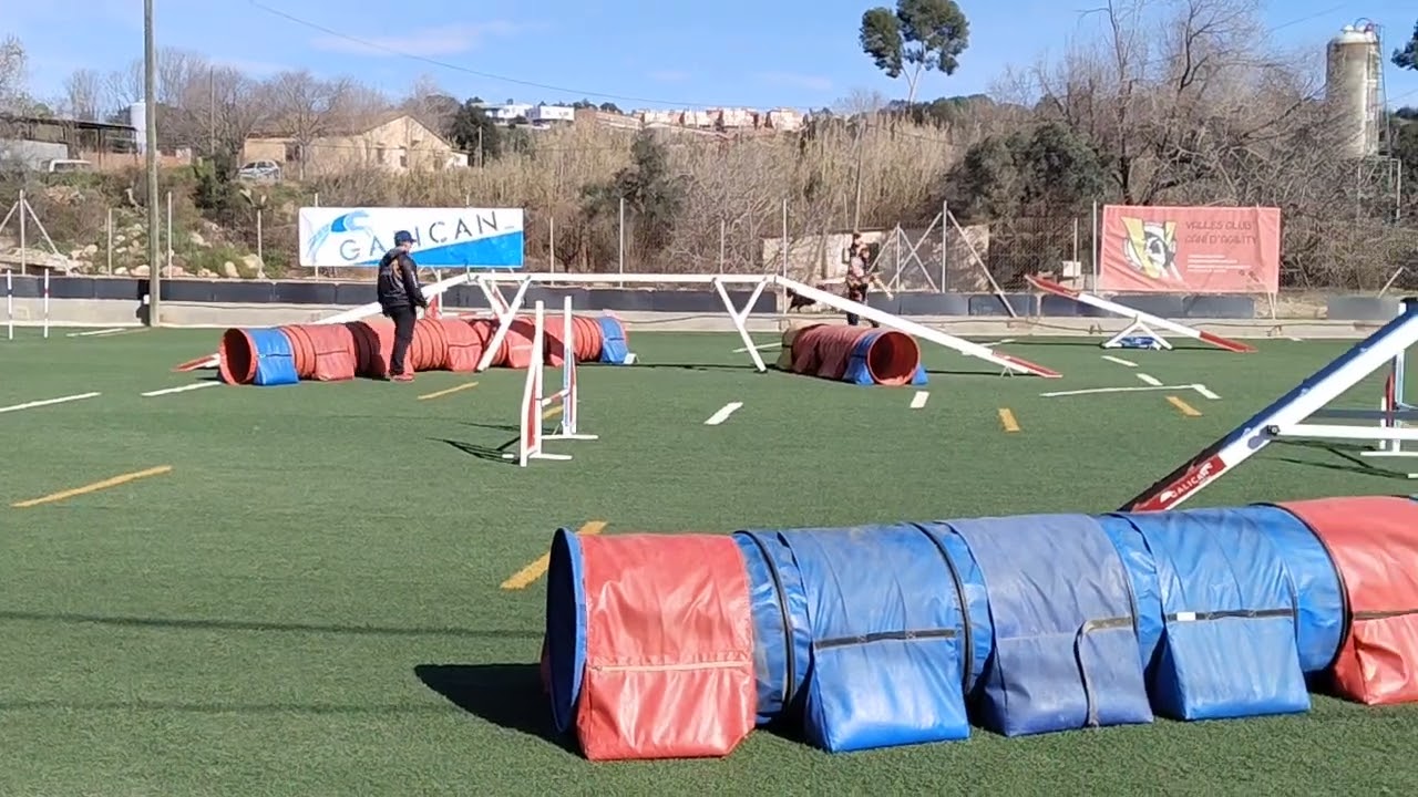 Mojito FCAG Vallés 15-02-26 Agility