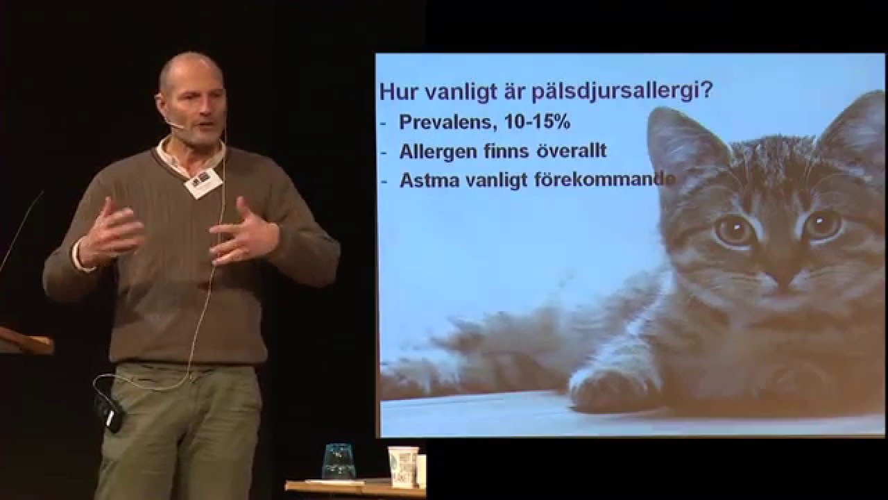 Hur allergivänlig är din hund?