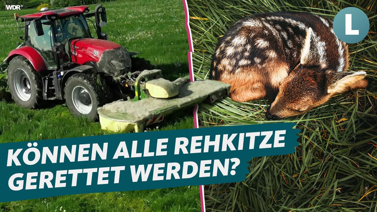 Kitzretter im Einsatz - Vorbereitungen f&uuml;r die Grasernte | WDR Lokalzeit Land.Schafft.