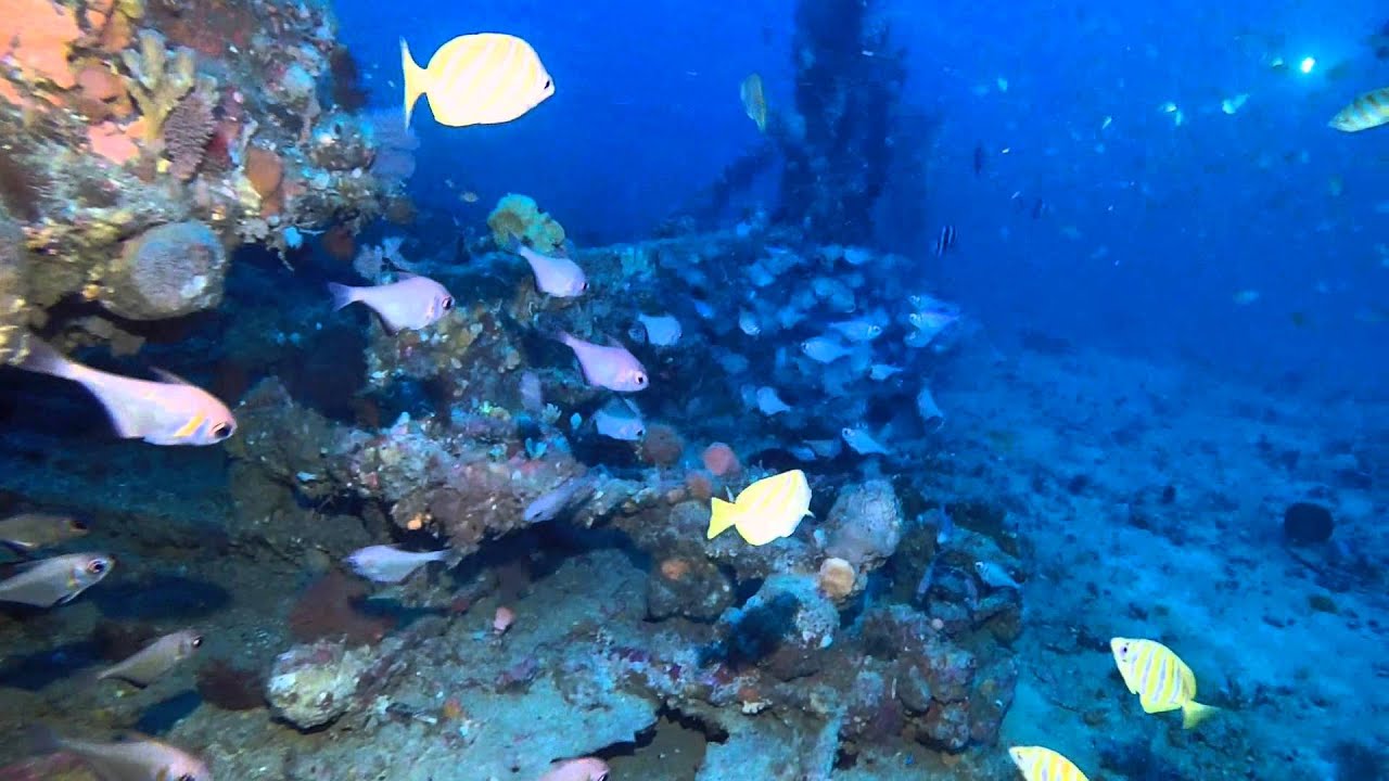 65m Wreck Rottnest Ships Graveyard