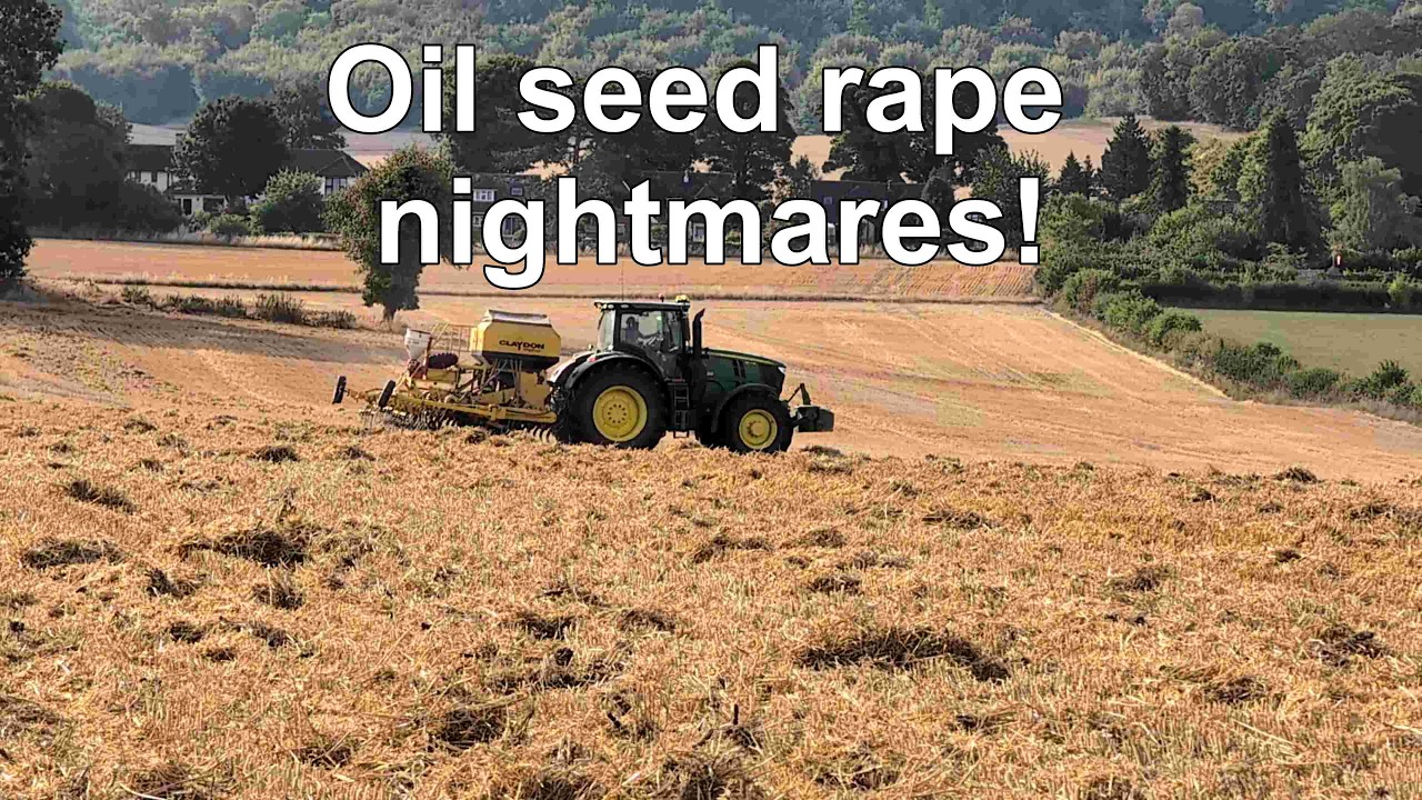 Oil seed rape establishment headaches