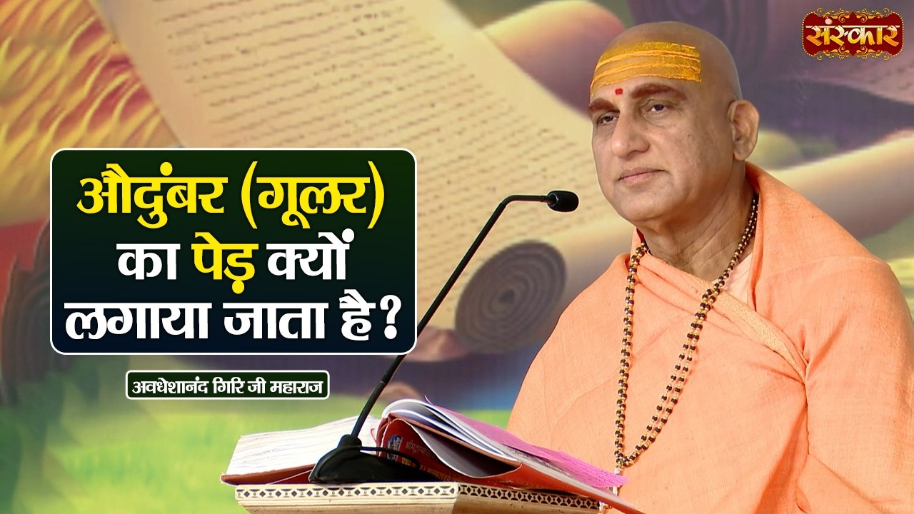 औदुंबर (गूलर) का पेड़ क्यों लगाया जाता है? Avdheshanand Giri Ji Maharaj Ke Pravachan
