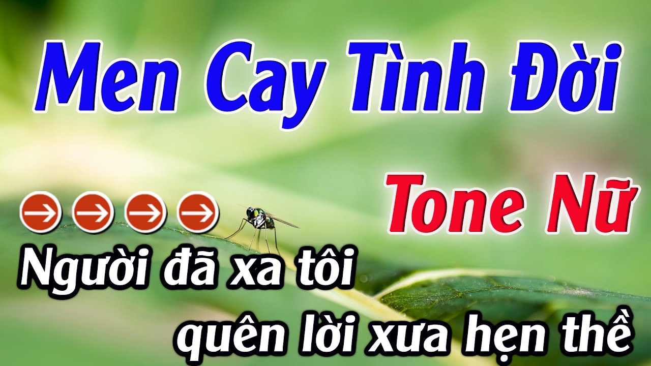 Karaoke Men Cay Tình Đời Karaoke Tone Nữ Beat Hay Nhất 2025 Karaoke Mê Nhạc Sống