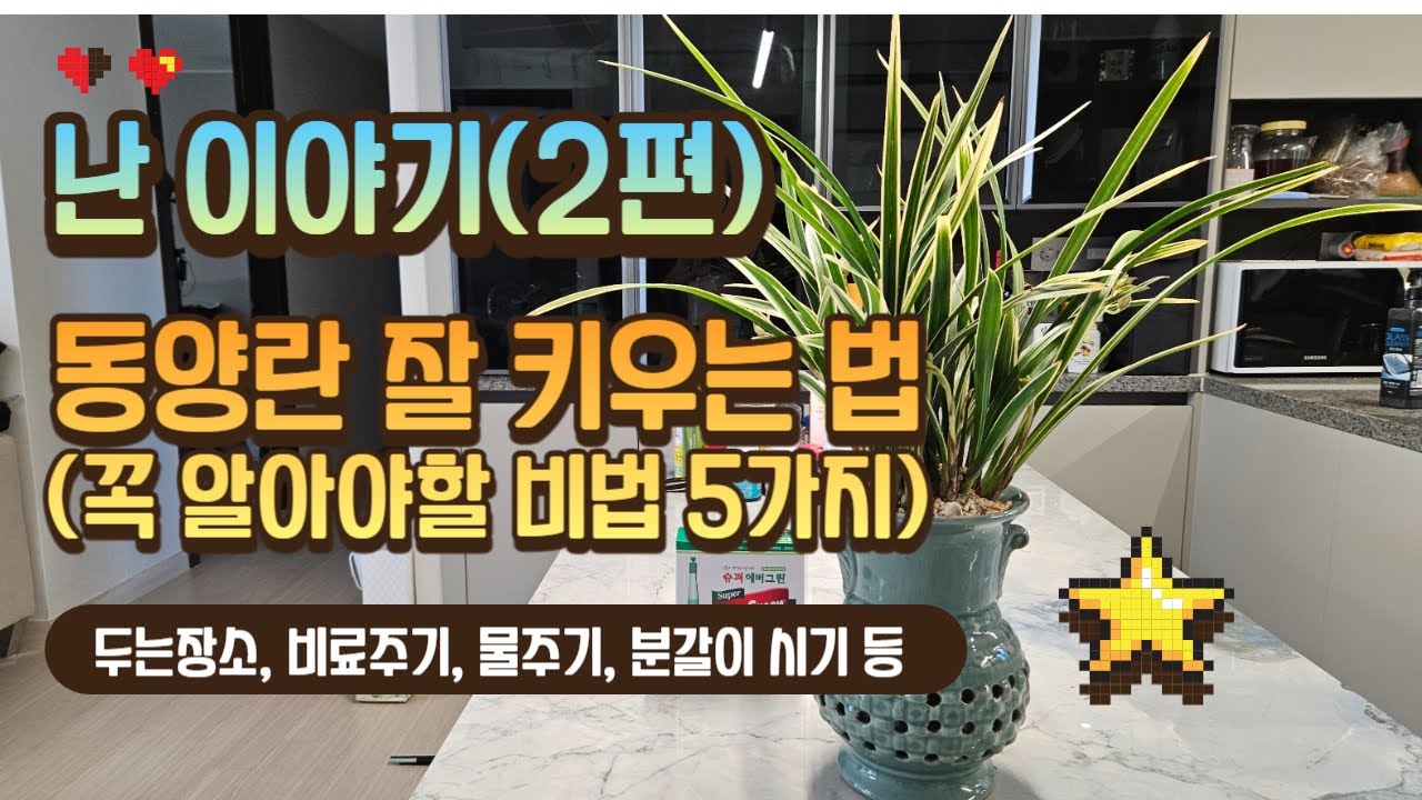 난에 관한 모든 것 2편. 난을 죽이지 않는 절대비법 5가지