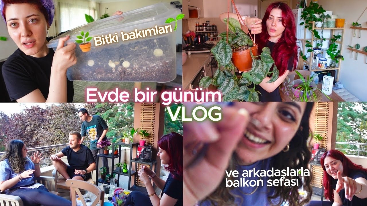 balkon sezonunu açtık🪴 evde bir günüm