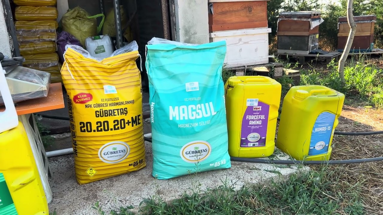CEVİZDE HAZİRAN AYI PROGRAM IMIZ