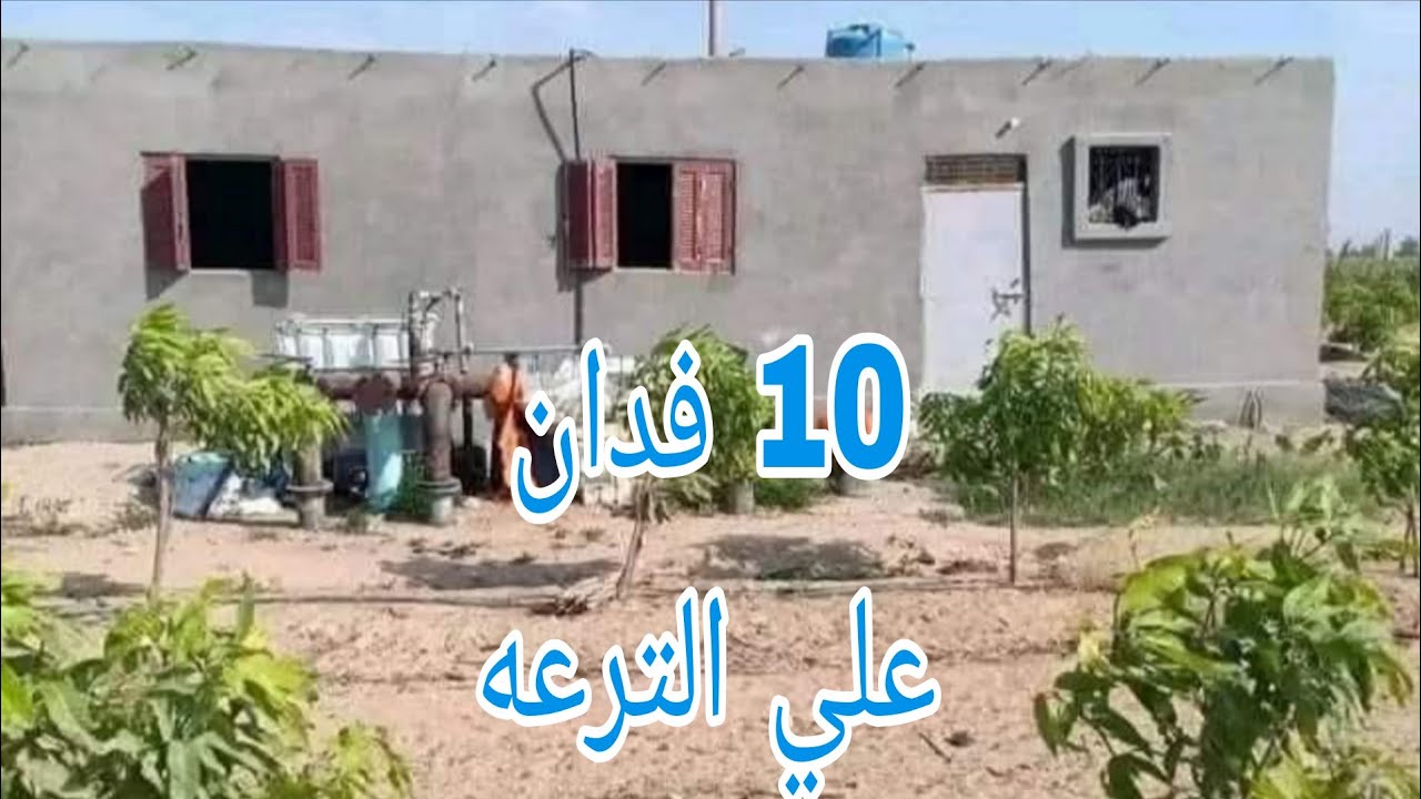 مزرعة 10 فدان نموذجية للبيع مسجلة شهر عقاري علي الترعه مباشر  استراحة استراحة مزروعه 