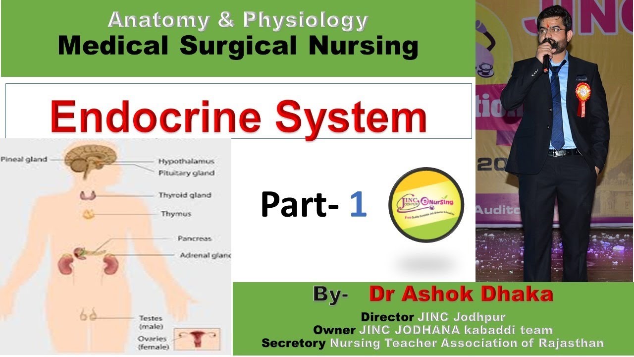 Endocrine System Part-1