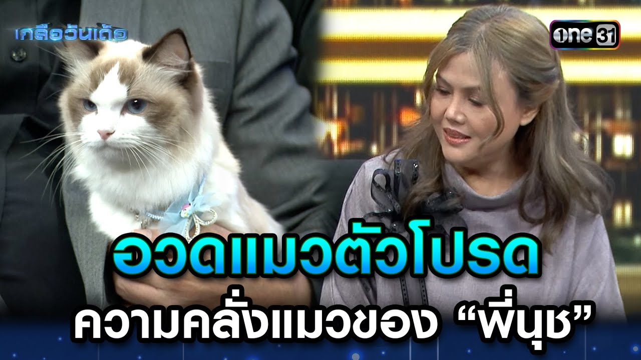 อวดแมวตัวโปรด ความคลั่งแมวของ “พี่นุช” | Highlight Ep.10 | เกลือวันเด้อ | 17 ก.ค. 66 | one31