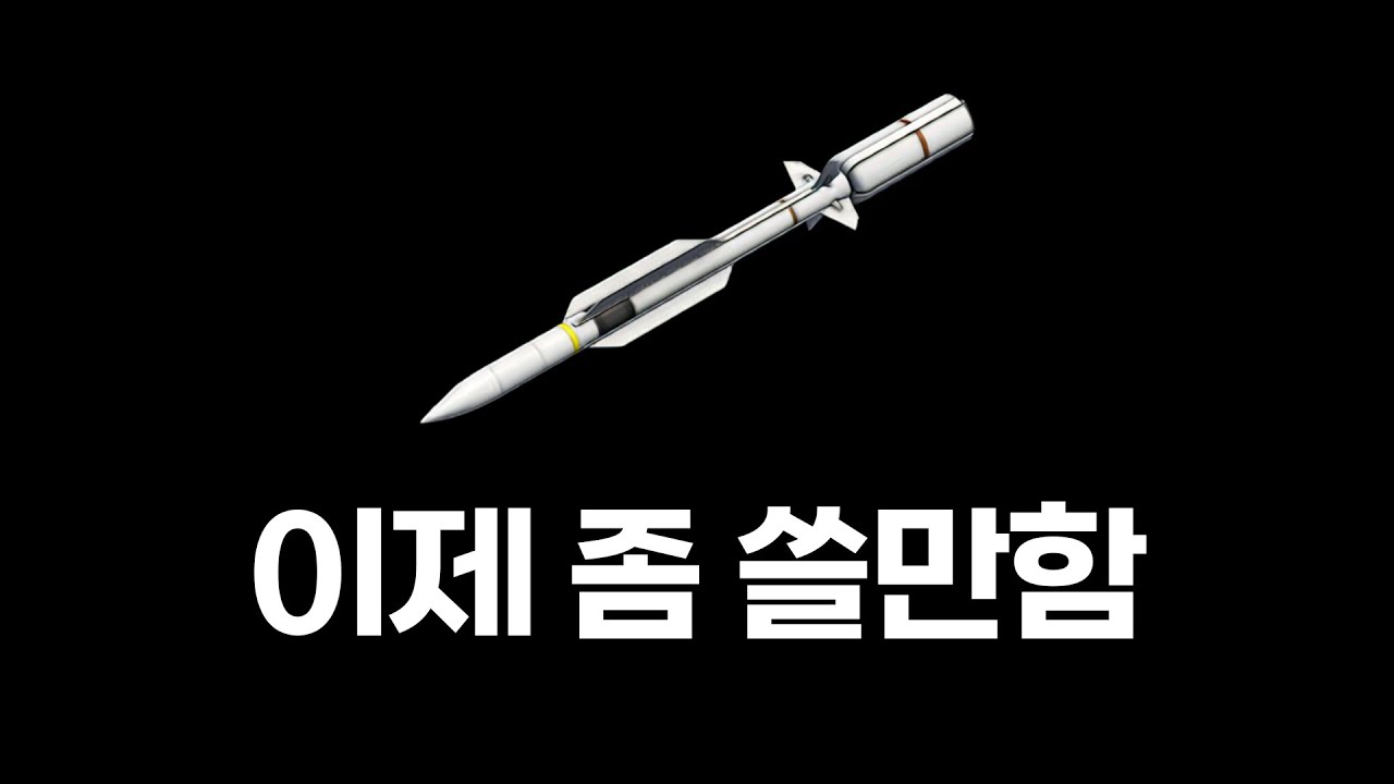 드디어 쓸만해진 대공미사일