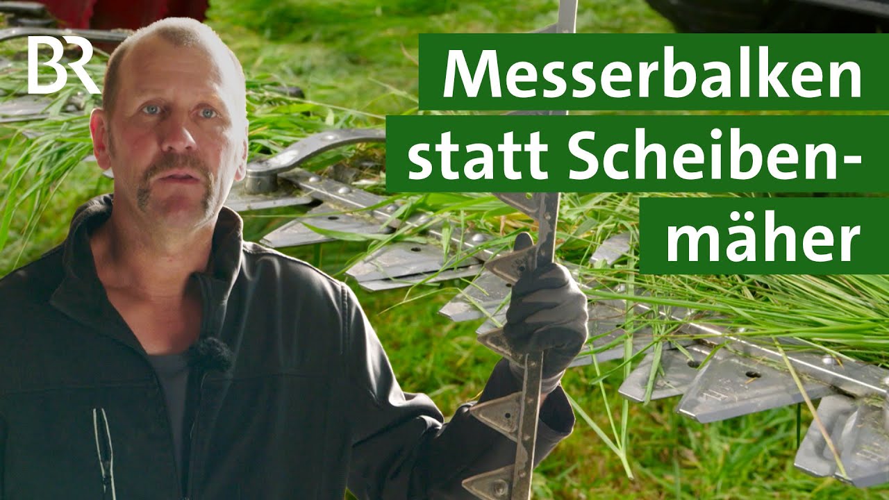 Umweltfreundliche Mahd: So sch&uuml;tzen Landwirte Insekten auf der Wiese | Unser Land | BR