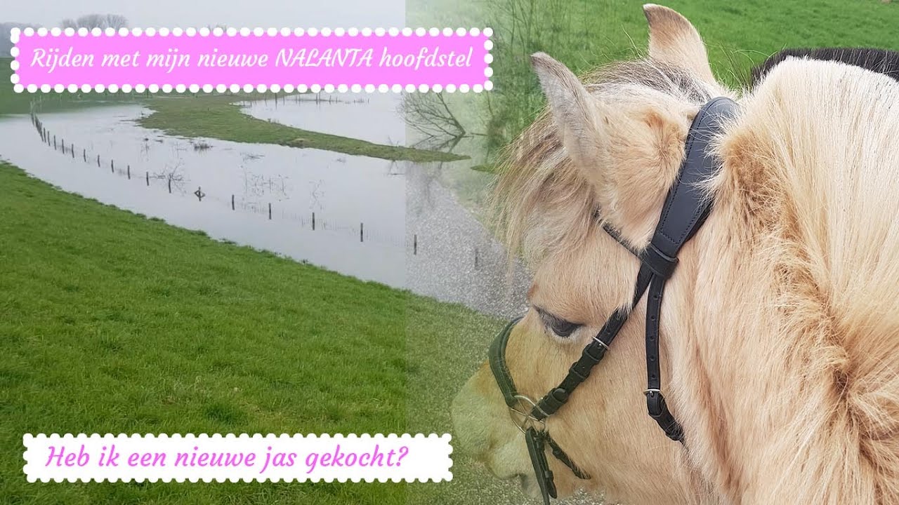 BUITENRIT met mijn nieuwe NALANTA BITLESS BRIDLE | FJORDENFAM VLOG #13