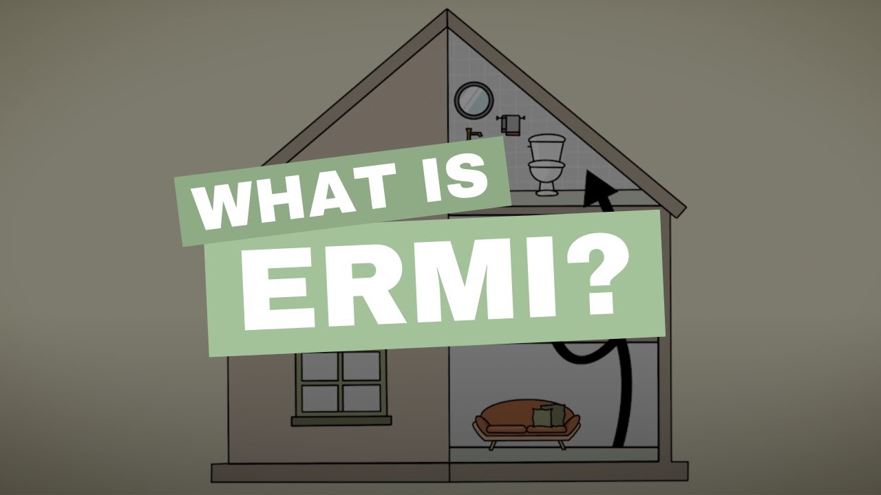 Что такое тест ERMI на плесень?
