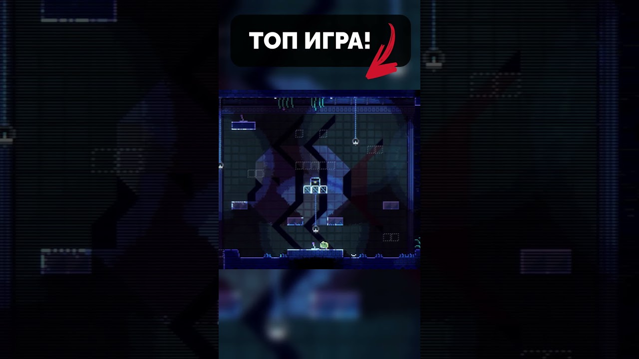 В какую НОВУЮ ИГРУ вам стоит поиграть? ANIMAL WELL 