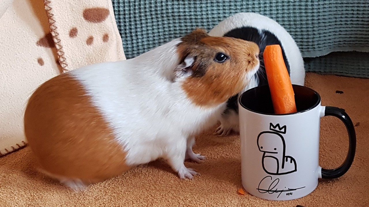 You make me wanna be your best gladiator yeah