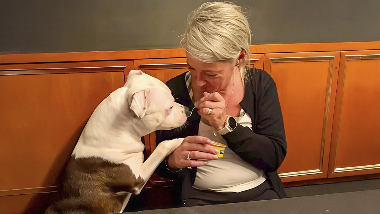 Mom Didn&rsquo;t Want a Dog &mdash; Until a Rescued Staffy Became Her Grandbaby