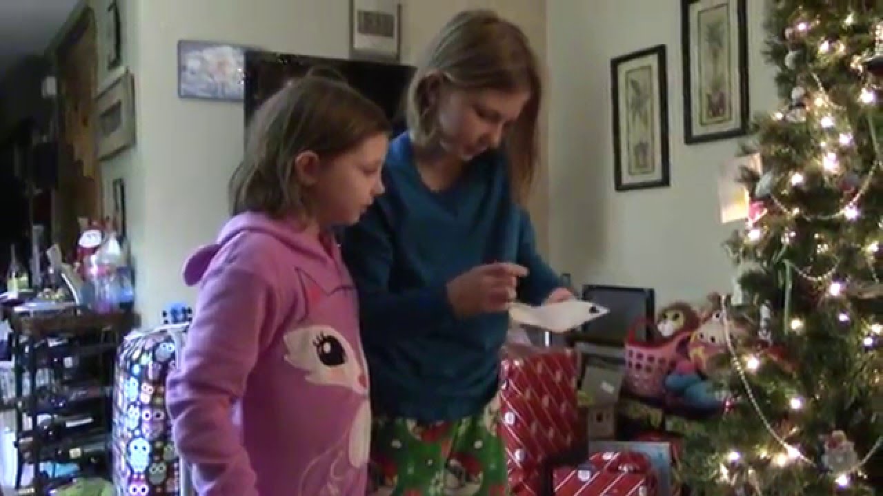 Disney Cruise Surprise Christmas 2015