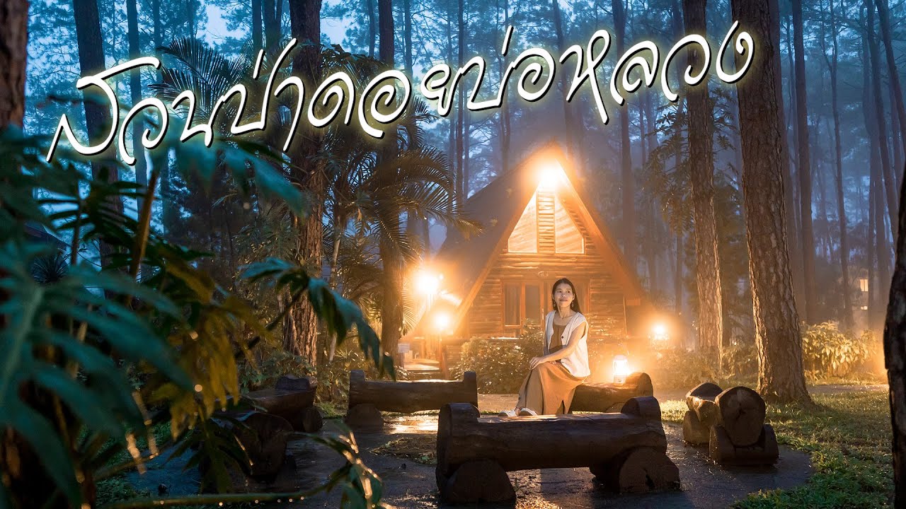 บ้านเอเฟรม บ้านพักที่จองยากที่สุด สวนป่าดอยบ่อหลวง จ.เชียงใหม่ ได้มาสักครั้งจะติดใจ