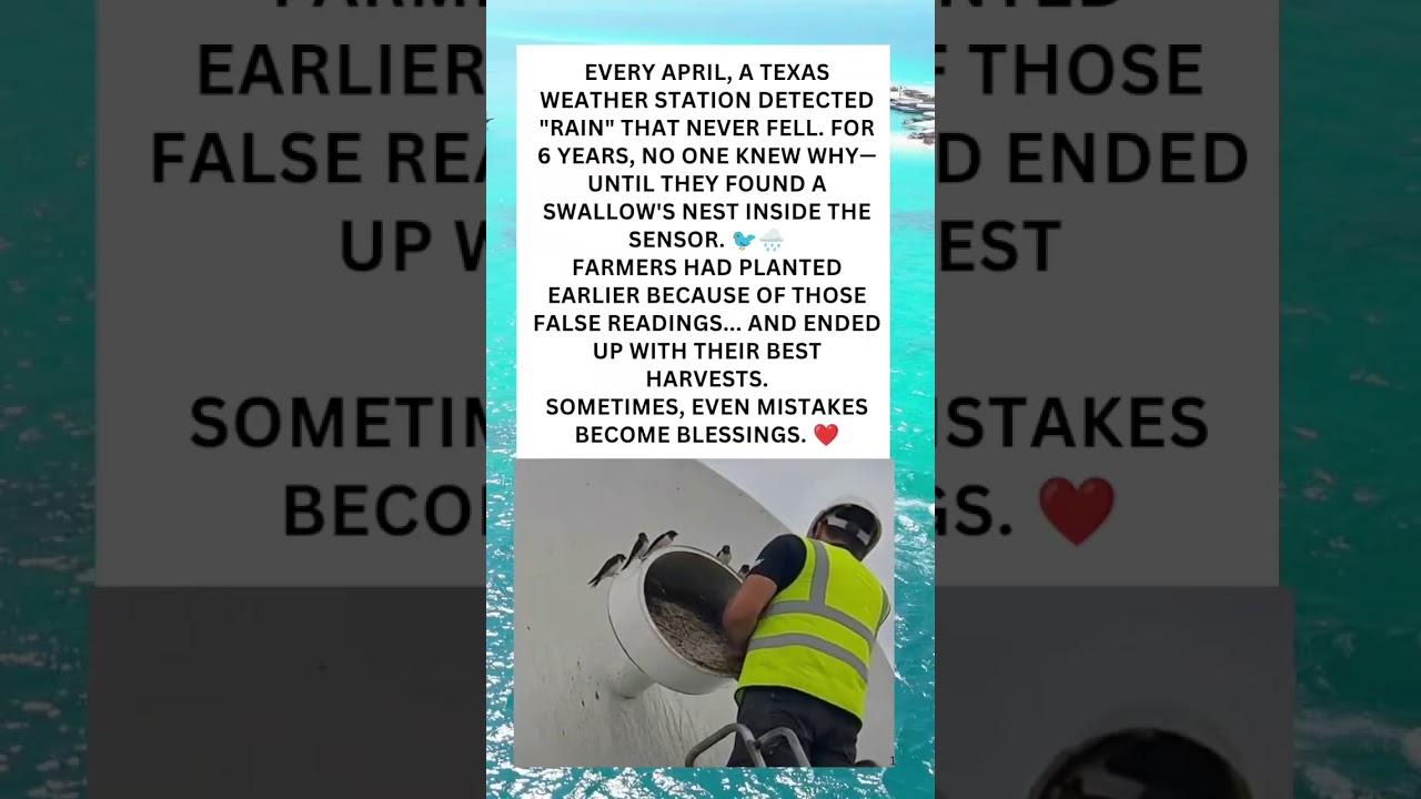 The Weather Station That Lied&hellip; But Changed Farmers' Lives ❤️🌧️