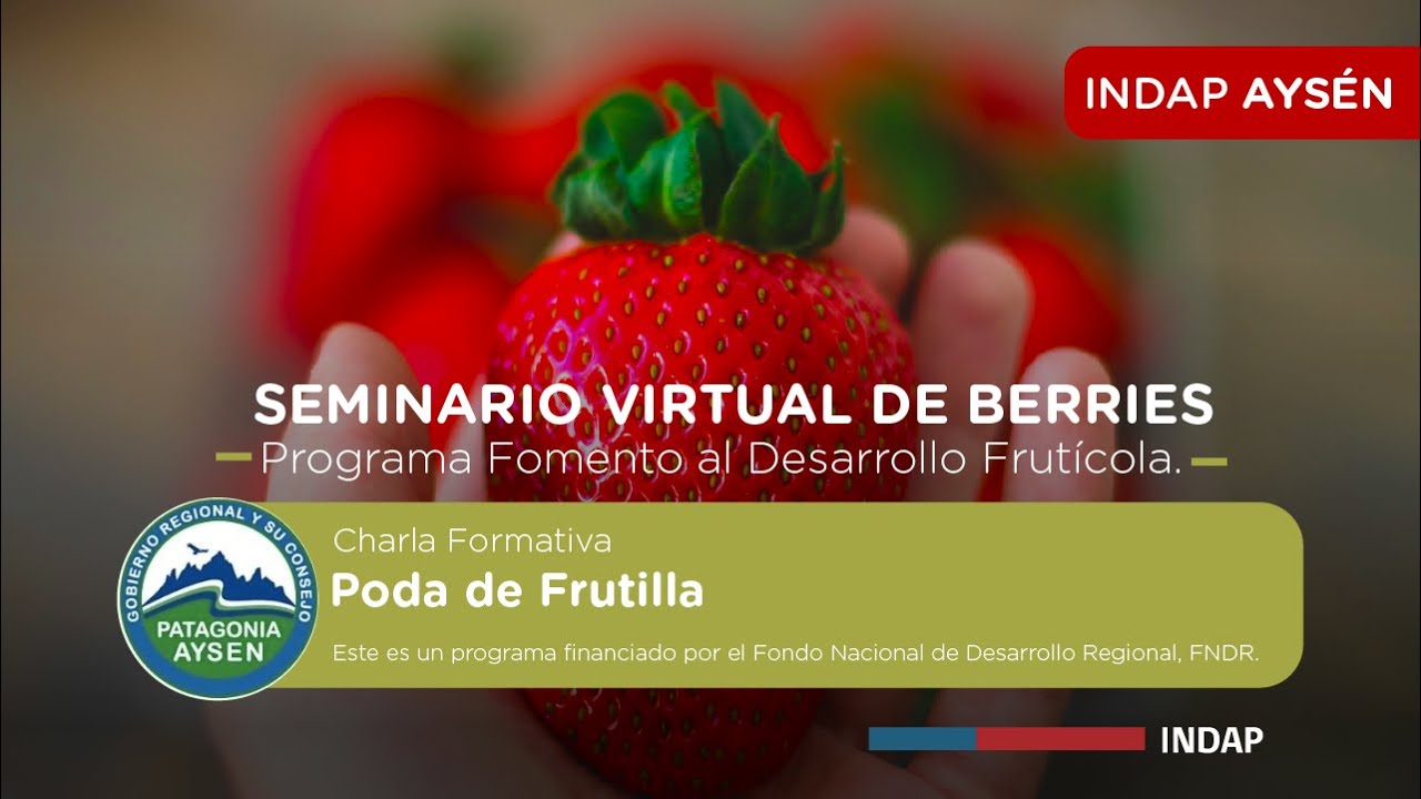 Poda de Frutilla - Seminario virtual Berries