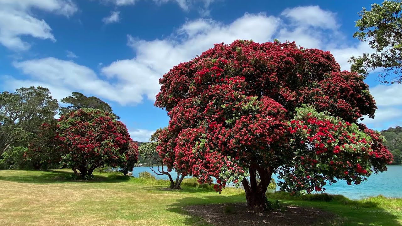 Wenderholm Regional Park