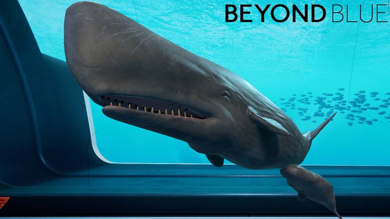 All Animlas Behavior - Beyond Blue [4K 60FPS]