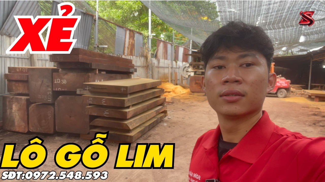 Khai xuân xẻ về lô gỗ lim Vàng Khủng xẻ luôn và cái kết | Sơn Sập Gỗ
