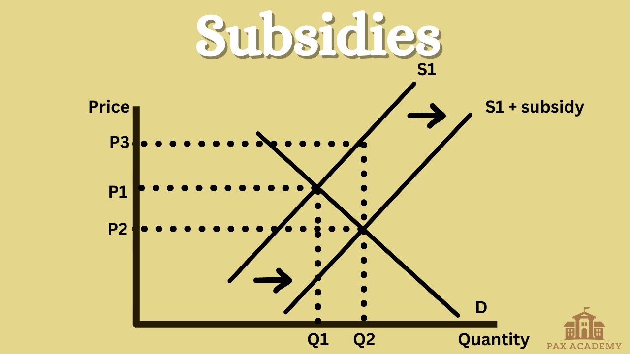 A-Level Economics - Subsidies