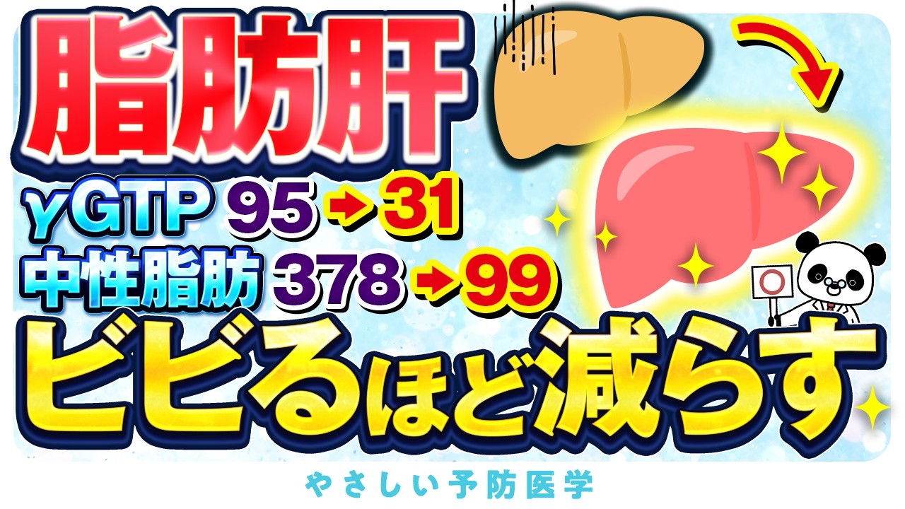 【医師解説】肝臓の脂肪をごっそり落とす！脂肪肝改善方法（脂肪肝　脂質異常症）