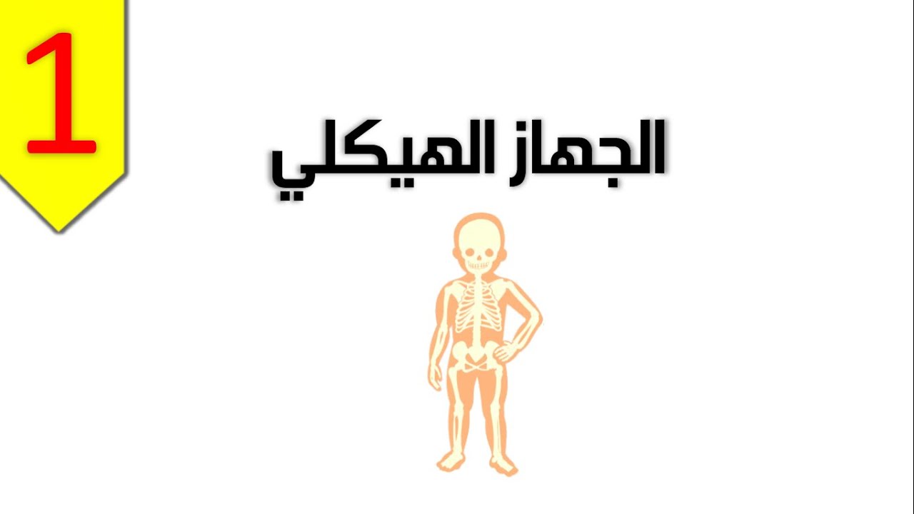 الجهاز الهيكلي ج (1) - العلوم والحياة - الصف الخامس الأساسي - المنهاج الفلسطيني