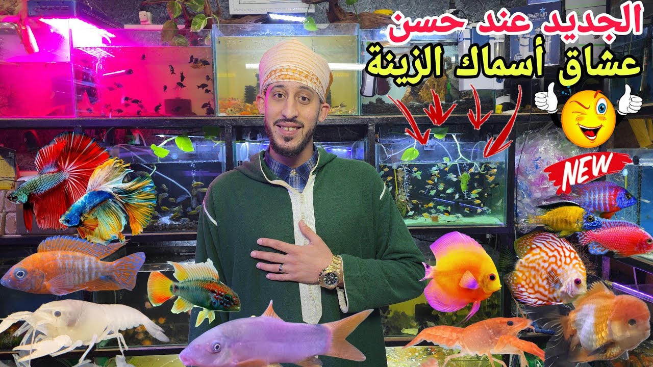 الجديد والجميل عند حسن🐠عشاق أسماك الزينة أجيو نتولعو أريفاج متنوع مختلف أنواع الأسماك أتمنة مناسبة..