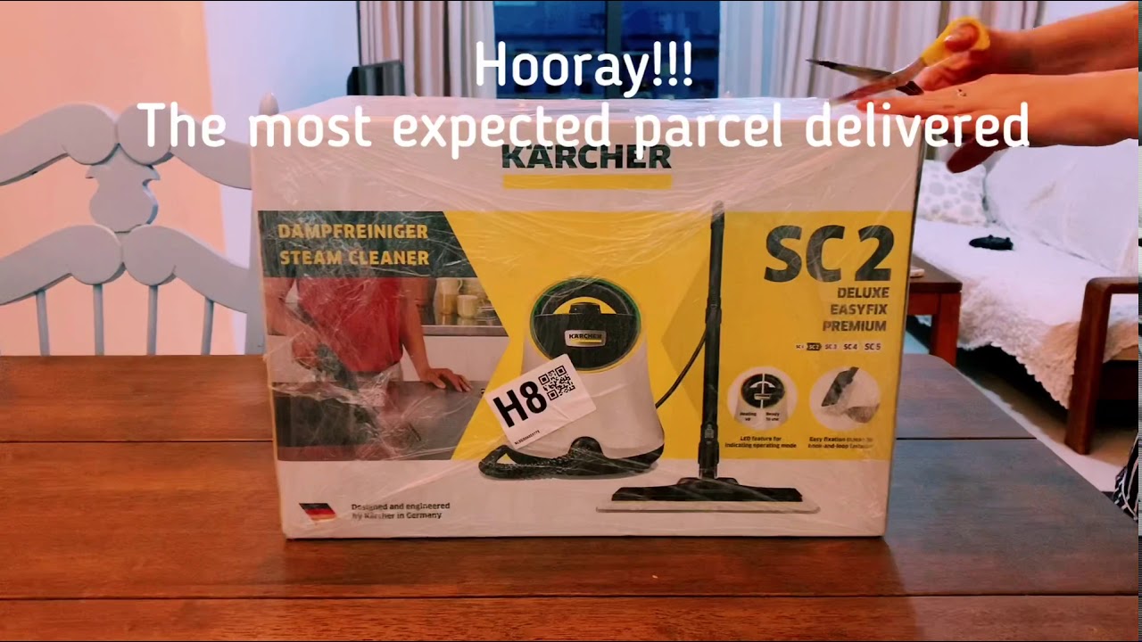 KARCHER Steam Cleaner SC 2 EXPECTATIONS VS REALITY! Пароочиститель Кarcher SC2 ожидания и реальность