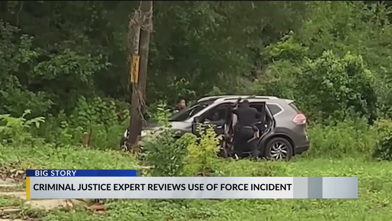 Criminal justice expert weighs in on Prichard police bat incident