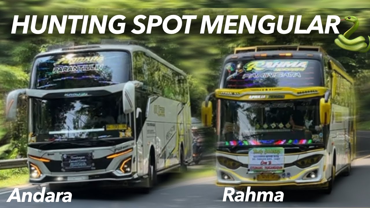 HUNTING BUS DI SPOT MENGULAR🐍 