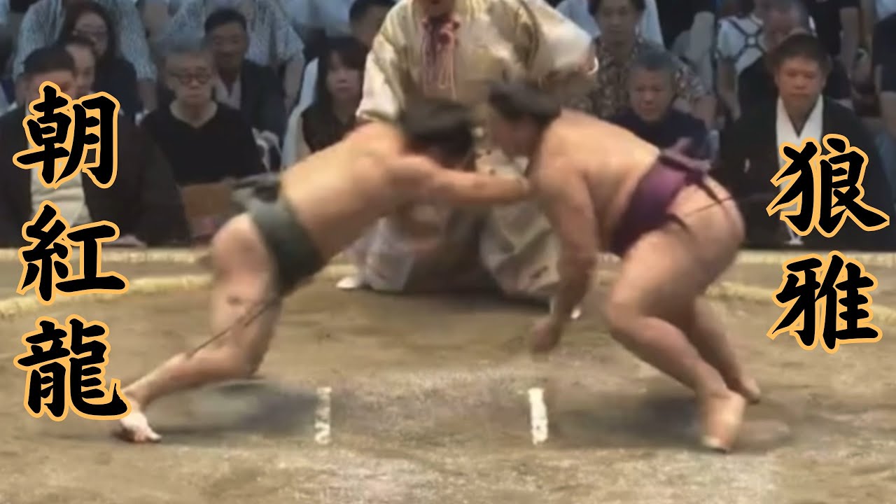朝紅龍VS狼雅 令和7年7月場所8日目#sumo #相撲