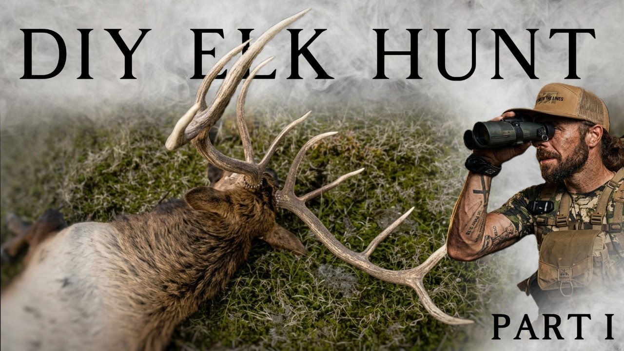 Public Land Bugling Bulls | Elk Hunting DIY PART 1