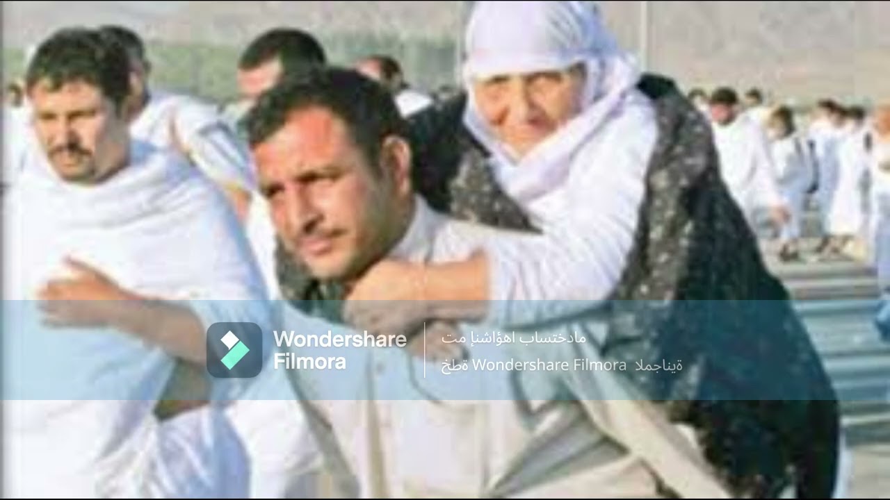 56 كتاب الجهاد و السير الجزء الثامن