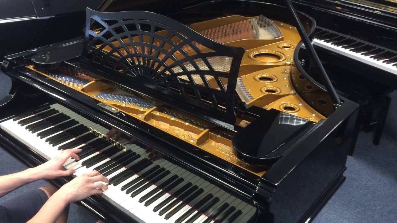 C. Bechstein Flügel B203