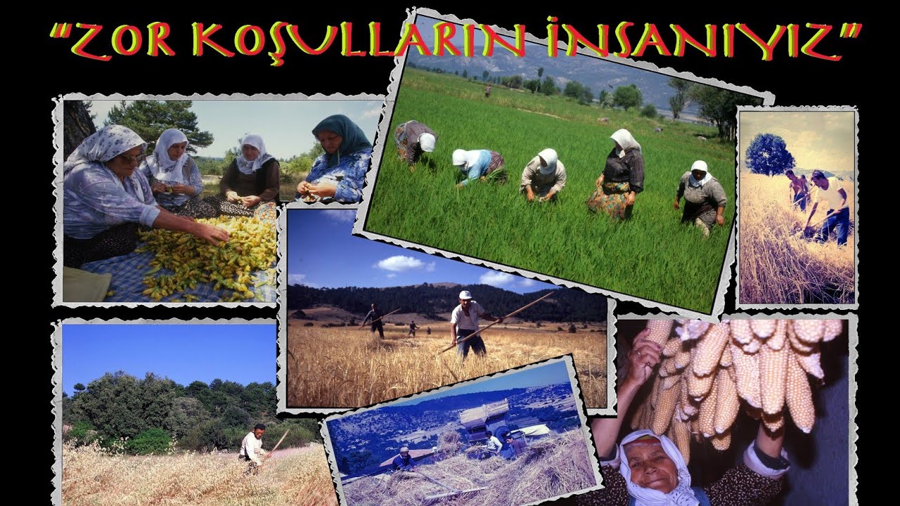 KÖY ENSTİTÜLÜ KEMAL ÖĞRETMEN GÜÇ YAŞAM KOŞULLARINDAKİ ANADOLU İNSANIMIZI ANLATIYOR. @kamilyilmaz1919