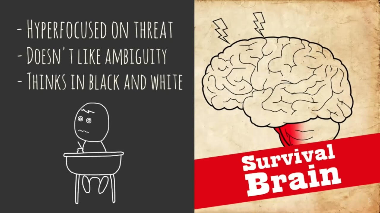 Practicing trauma-informed pedagogy in the K&ndash;12 classroom
