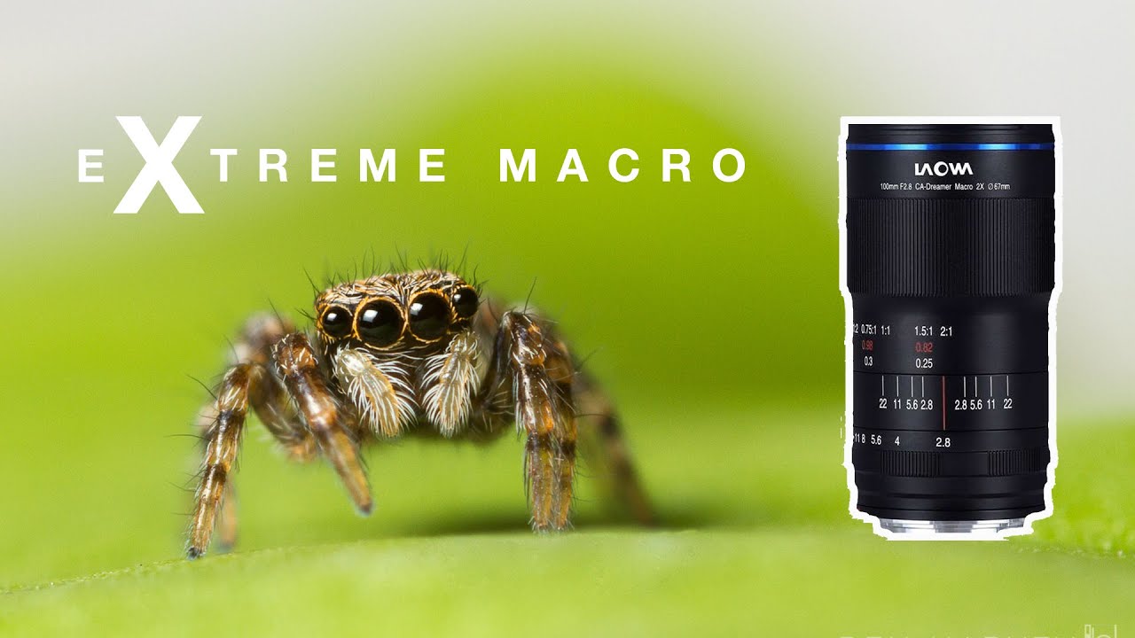 Extreme Macro Photography TUTORIAL