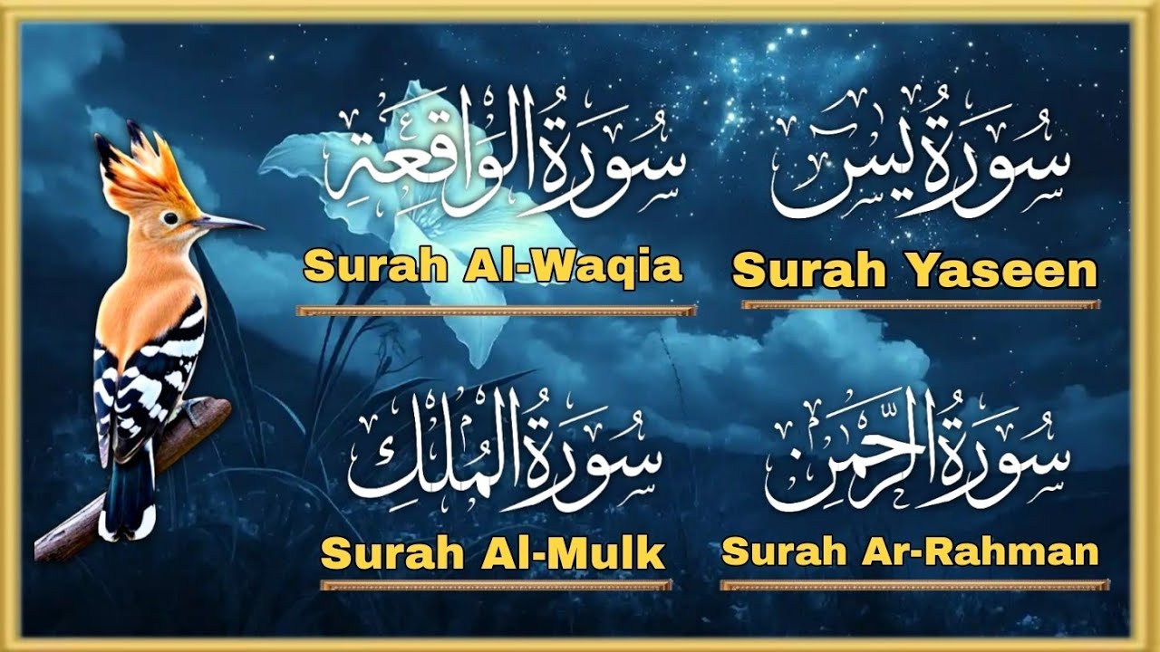 Surah Yaseen | Surah Rehman | Surah Waqiah | Surah Mulk | Quran Recitation | The Word of Allah
