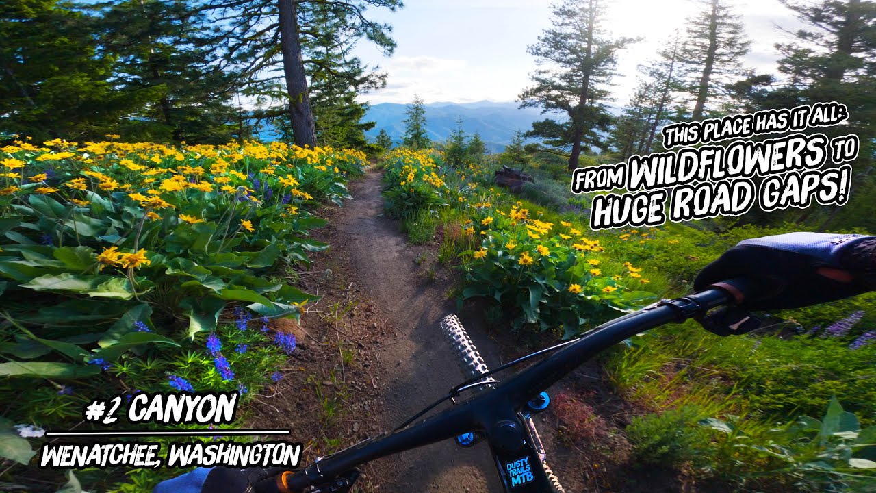 Prepare To Die (And Go To MTB Heaven?) Riding Wenatchee, Washington's Best Trails!