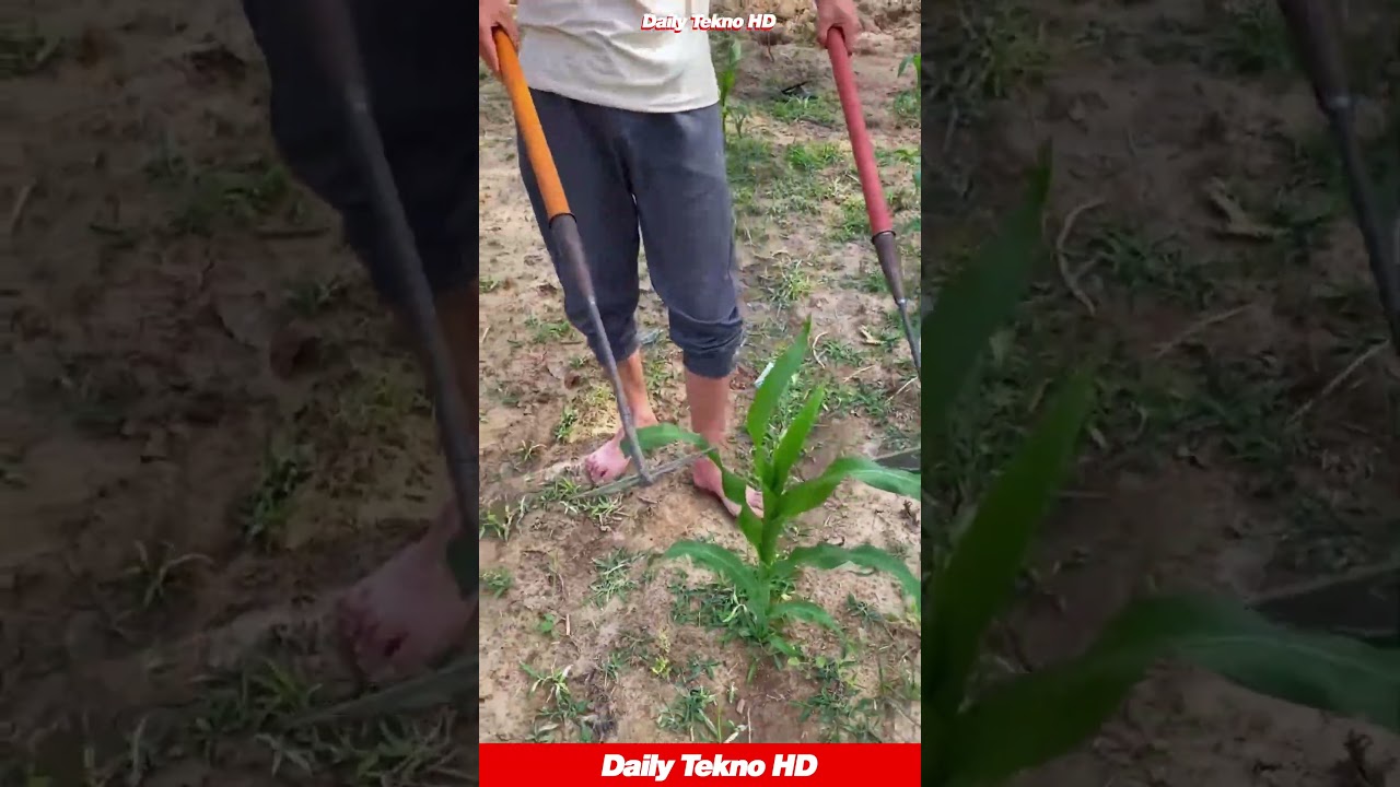 This Weeding Tool is PURE Genius! 🤯 #GardeningHacks