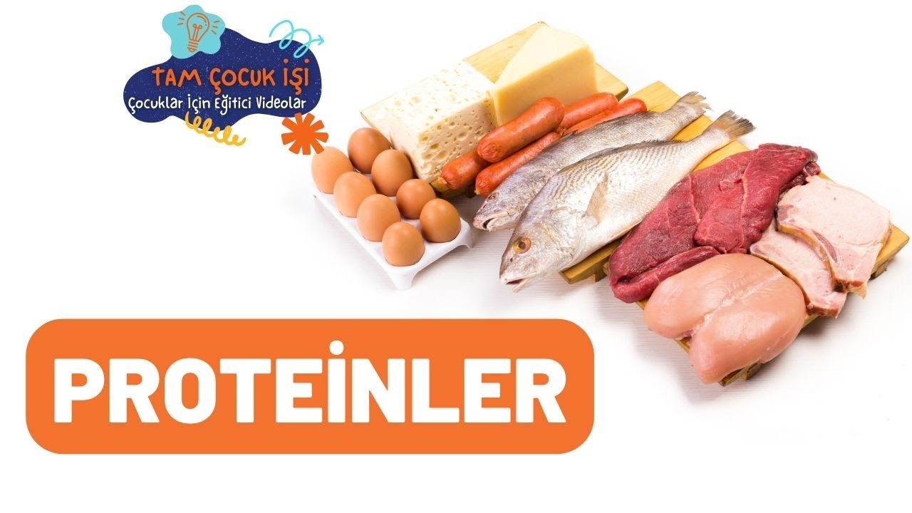 Proteinler - Yapıcı ve Onarıcı Olan Besinler - Çocuklar İçin Eğitici Videolar