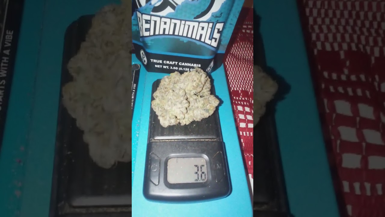Benanimals strain review by Lumpys (banana OG X animal cookies)