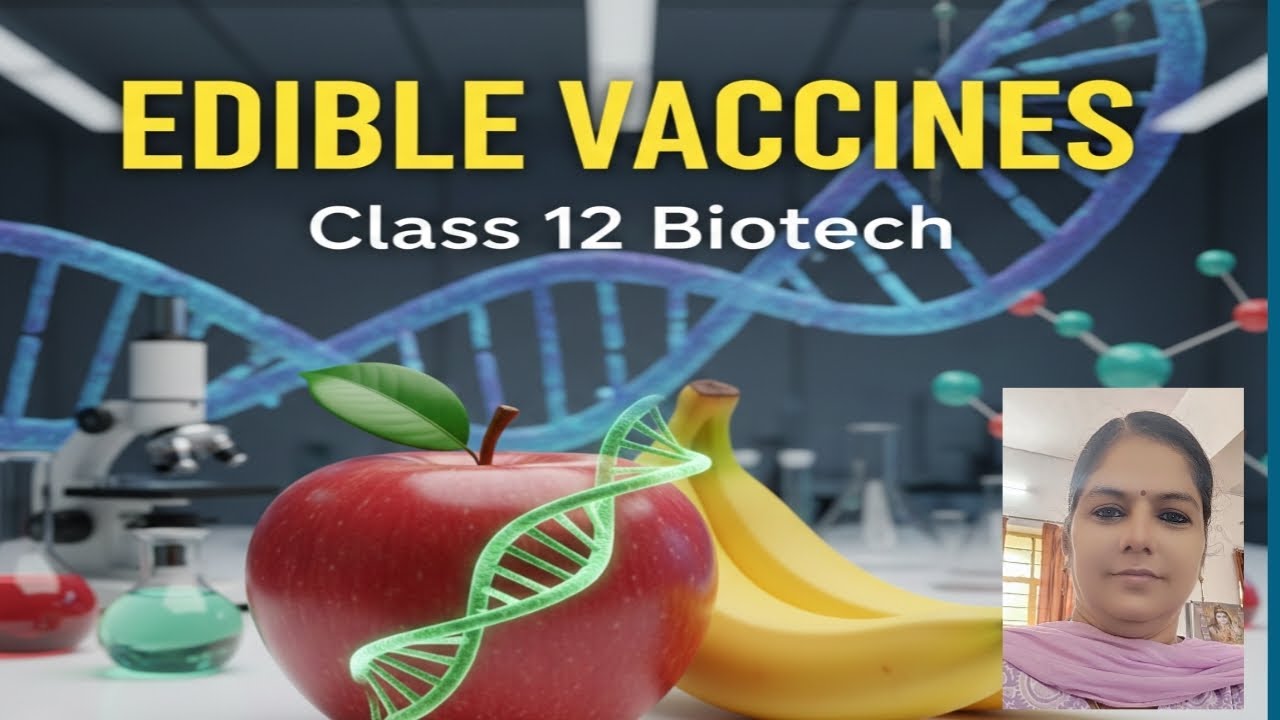 Edible vaccines Class 12 Biotechnology Plant tissue culture and its applications 