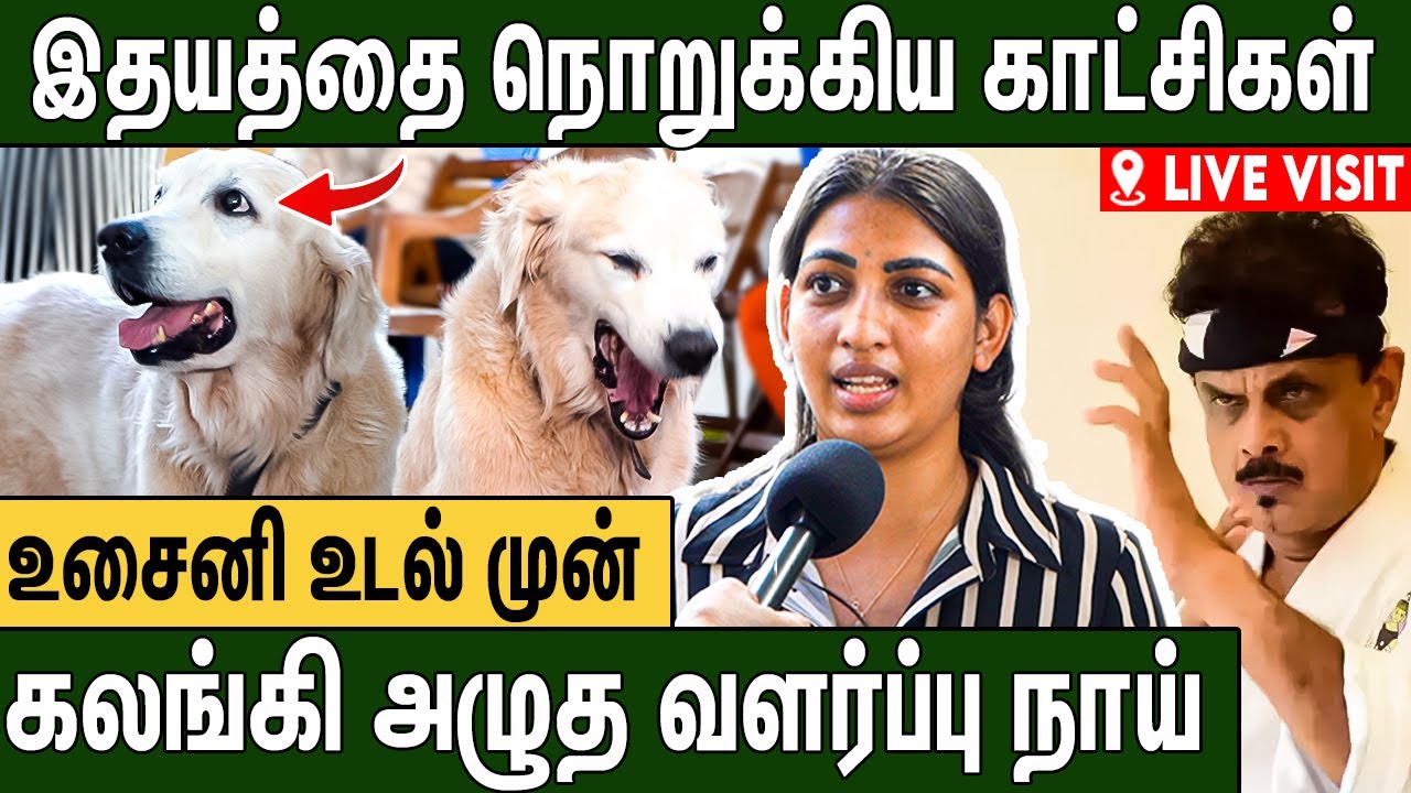 இந்த நாய் தான் அவரோட பையன் : கலங்கிய உசைனி குடும்பம் | Karate Husaini Final Moments Live Visit